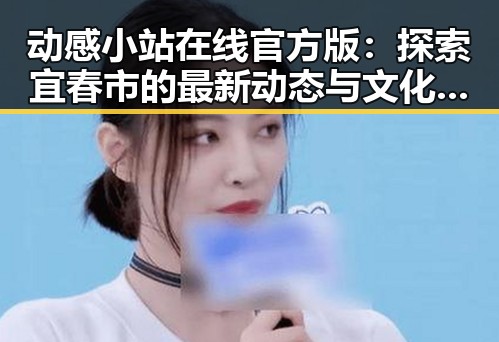 动感小站在线官方版：探索宜春市的最新动态与文化风采