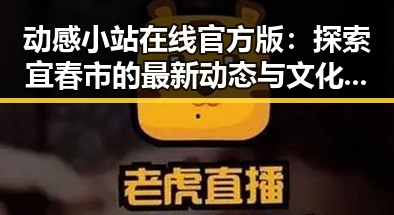 动感小站在线官方版：探索宜春市的最新动态与文化风采
