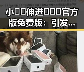 小🐔🐔伸进🈲🔞🔞官方版免费版：引发热议的现象背后