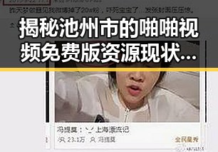 揭秘池州市的啪啪视频免费版资源现状与发展趋势