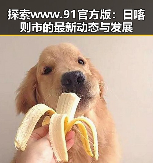 探索www.91官方版：日喀则市的最新动态与发展