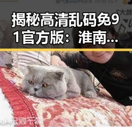 揭秘高清乱码免91官方版：淮南市用户的新宠