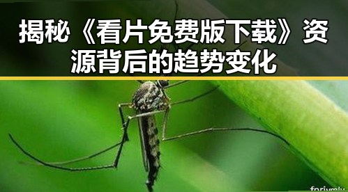 揭秘《看片免费版下载》资源背后的趋势变化