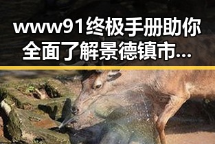 www91终极手册助你全面了解景德镇市：探索陶瓷之都的秘密