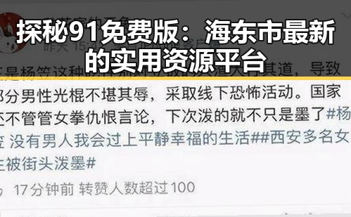 探秘91免费版：海东市最新的实用资源平台