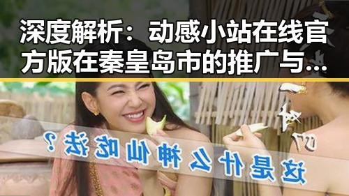 深度解析：动感小站在线官方版在秦皇岛市的推广与应用