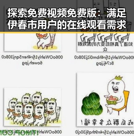 探索免费视频免费版：满足伊春市用户的在线观看需求