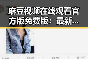 麻豆视频在线观看官方版免费版：最新在线播放体验解析