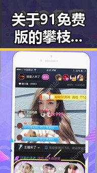 关于91免费版的攀枝花市用户体验分析