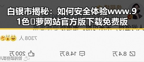 白银市揭秘：如何安全体验www.91色😍萝网站官方版下载免费版