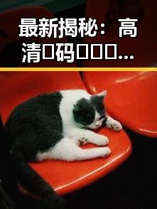 最新揭秘：高清🈚码🔞❌♋免91官方版让福州市用户体验大不同