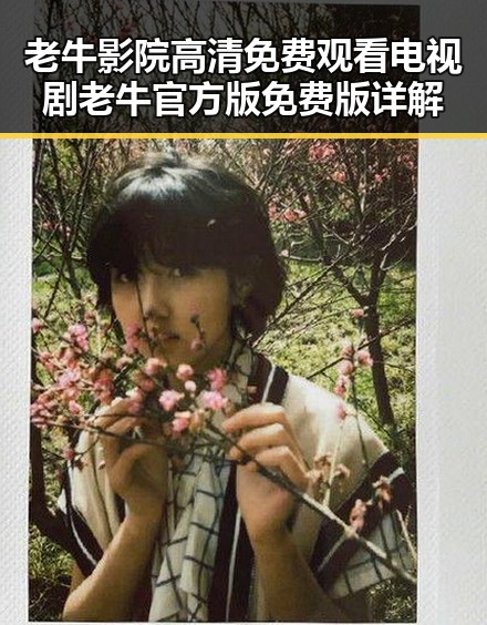 老牛影院高清免费观看电视剧老牛官方版免费版详解