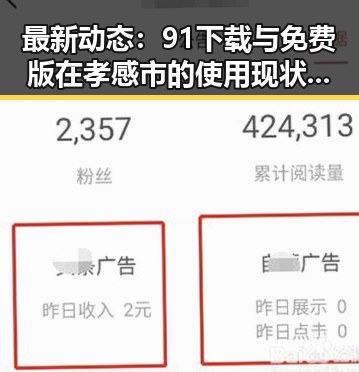 最新动态：91下载与免费版在孝感市的使用现状分析