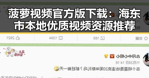 菠萝视频官方版下载：海东市本地优质视频资源推荐