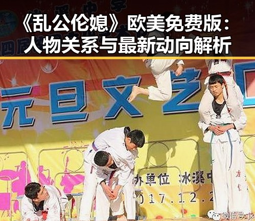 《乱公伦媳》欧美免费版：人物关系与最新动向解析