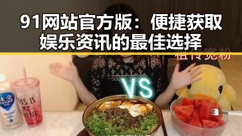 91网站官方版：便捷获取娱乐资讯的最佳选择