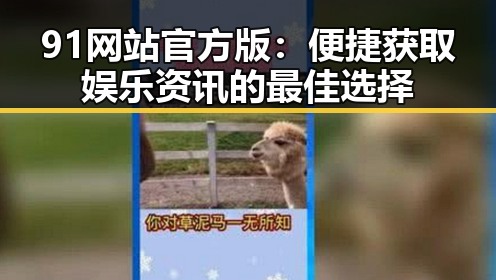 91网站官方版：便捷获取娱乐资讯的最佳选择