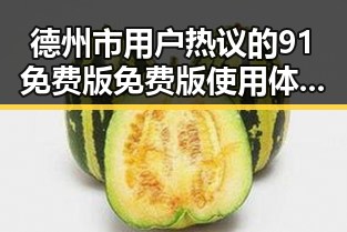 德州市用户热议的91免费版免费版使用体验