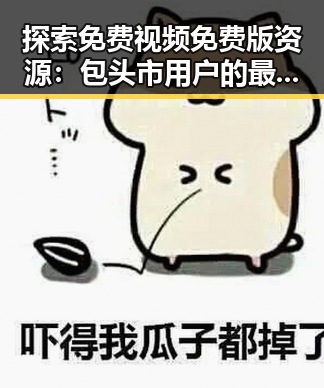 探索免费视频免费版资源：包头市用户的最佳选择
