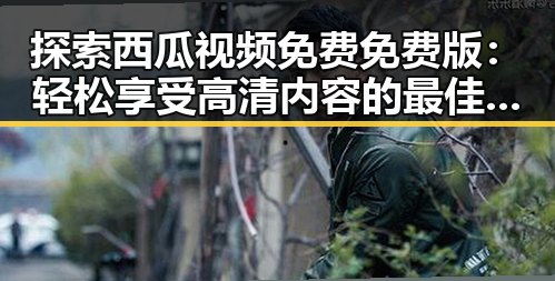 探索西瓜视频免费免费版：轻松享受高清内容的最佳选择