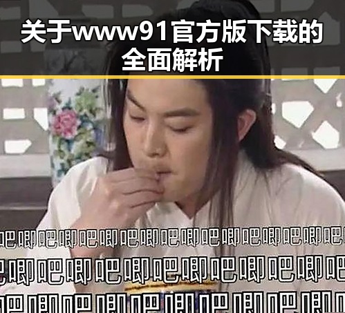 关于www91官方版下载的全面解析