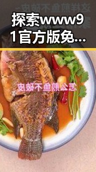 探索www91官方版免费版：长春市用户的全新选择与体验