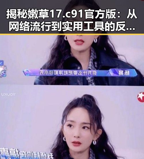 揭秘嫩草17.c 91官方版：从网络流行到实用工具的反差变化