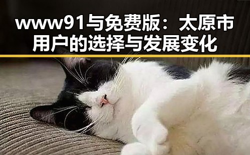 www91与免费版：太原市用户的选择与发展变化