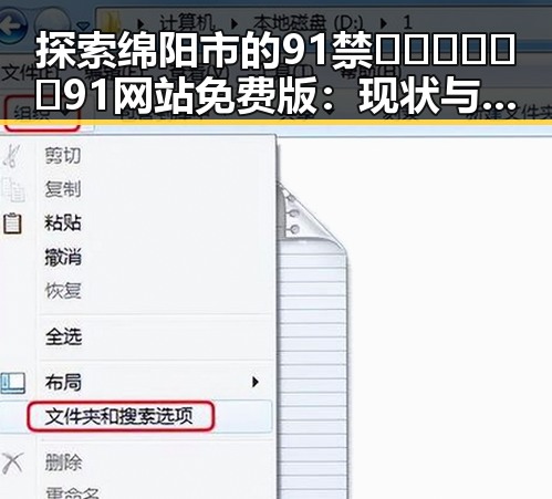 探索绵阳市的91禁🍆🍑🔞❌❌❌91网站免费版：现状与反思