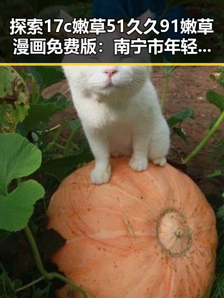 探索17c嫩草51久久91嫩草漫画免费版:南宁市年轻人的新宠
