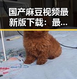 国产麻豆视频最新版下载:最新资源全面介绍