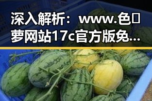 深入解析:www.色😍萝网站17c官方版免费版的现状与发展