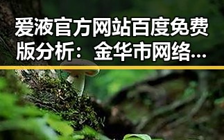 爱液官方网站百度免费版分析：金华市网络影响力新趋势