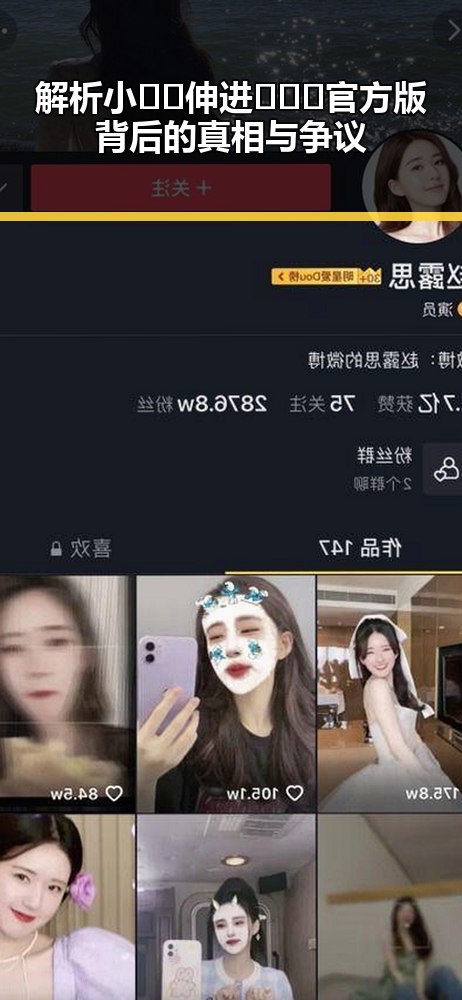 解析小🐔🐔伸进🈲🔞🔞官方版背后的真相与争议