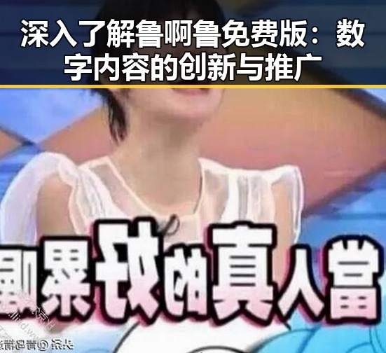 深入了解鲁啊鲁免费版：数字内容的创新与推广