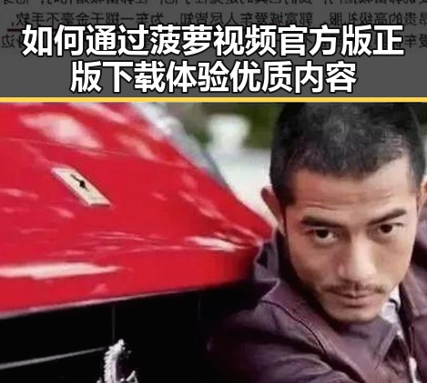 如何通过菠萝视频官方版正版下载体验优质内容