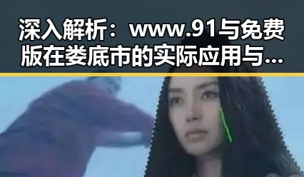深入解析：www.91与免费版在娄底市的实际应用与发展变化