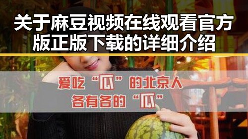 关于麻豆视频在线观看官方版正版下载的详细介绍