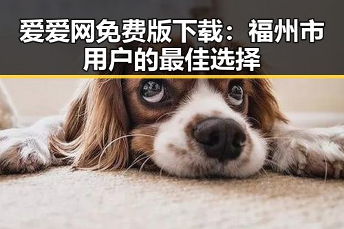 爱爱网免费版下载：福州市用户的最佳选择