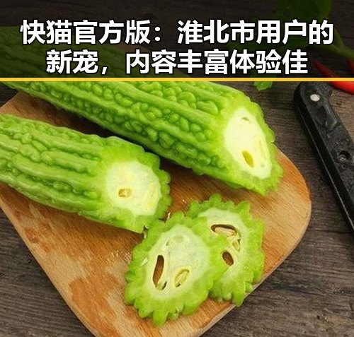 快猫官方版：淮北市用户的新宠，内容丰富体验佳