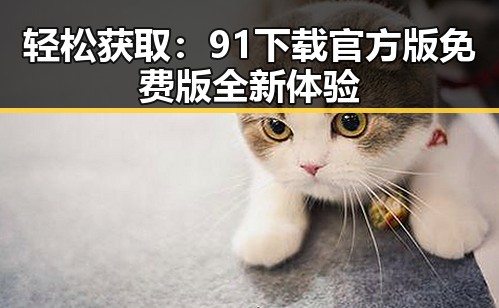 轻松获取：91下载官方版免费版全新体验