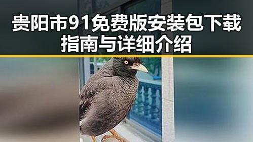 贵阳市91免费版安装包下载指南与详细介绍