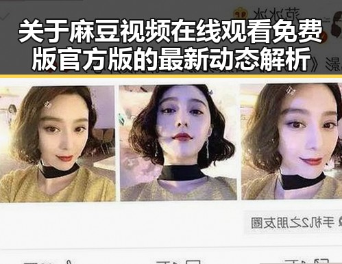 关于麻豆视频在线观看免费版官方版的最新动态解析