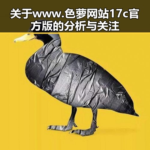 关于www.色 萝网站17c官方版的分析与关注