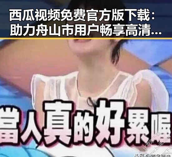 西瓜视频免费官方版下载：助力舟山市用户畅享高清娱乐