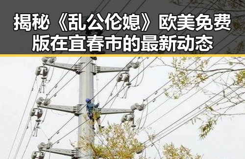 揭秘《乱公伦媳》欧美免费版在宜春市的最新动态