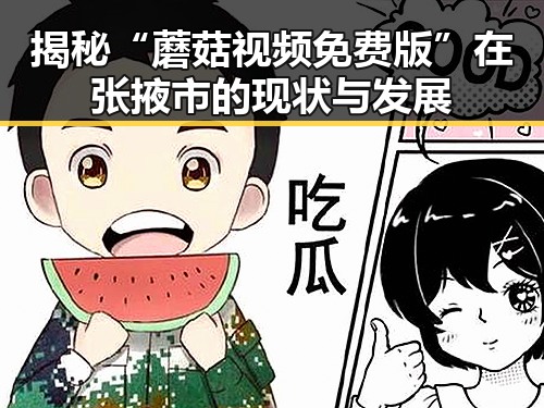 揭秘“蘑菇视频免费版”在张掖市的现状与发展