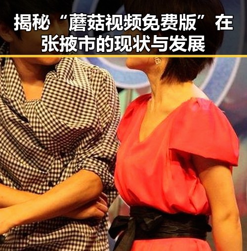 揭秘“蘑菇视频免费版”在张掖市的现状与发展