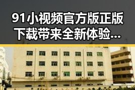 91小视频官方版正版下载带来全新体验,成为盐城市用户的新宠