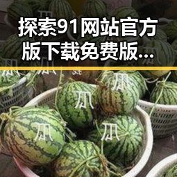 探索91网站官方版下载免费版：齐齐哈尔市用户的理想选择